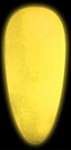 Actual product image Canni Gellack Fluorescence YG02 UV/LED (Orange, UV gel varnish)