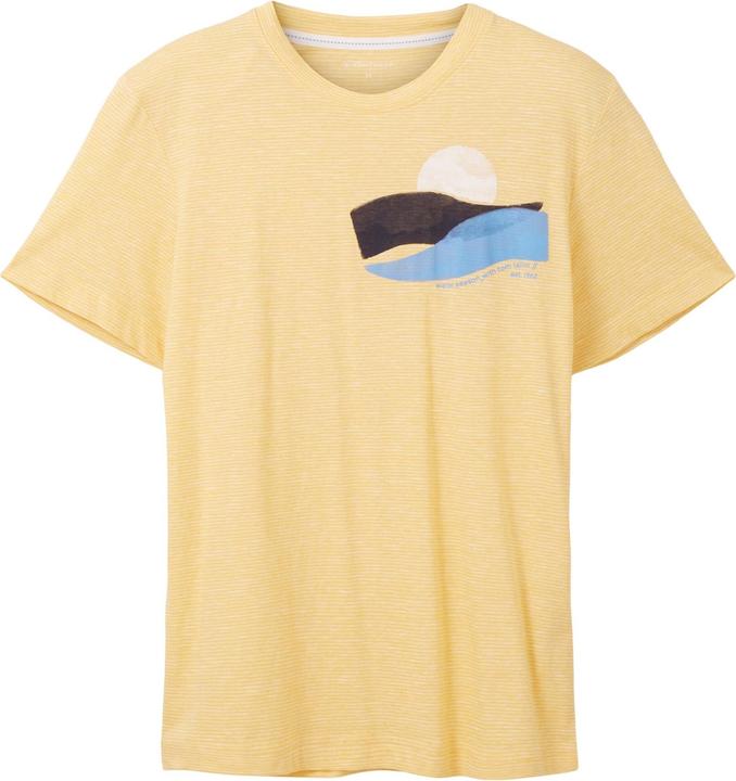 Tom Tailor T-Shirt Gestreiftes Kurzarmshirt mit Rundhalsausschnitt und Foto-Print