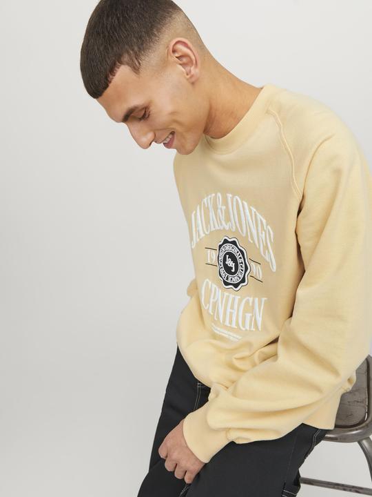 Image du produit Jack & Jones Imprimé Sweatshirt à col rond Sweatshirt à col rond (XS)