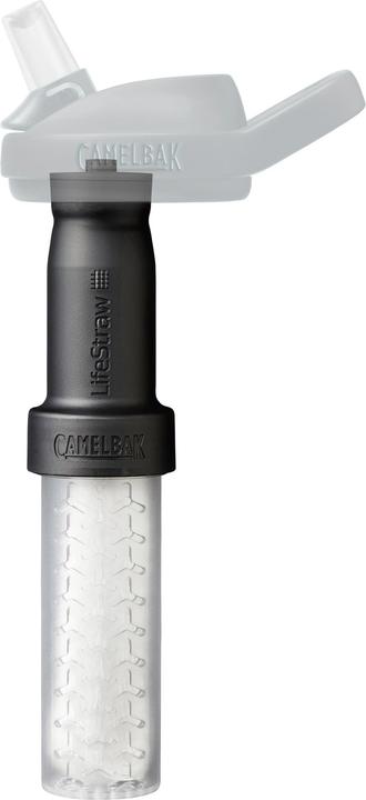 Actual product image Camelbak Eddy+ Lifestraw Filter medium Transparent
