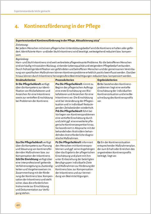 Produktbild Expertenstandards leicht gemacht (Deutsch, Björn Philipp, 2024)