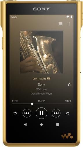 Sony NW-WM1ZM2 (256 Go)