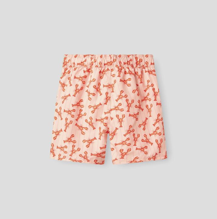 Produktbild Name it Print Badeshorts (146)
