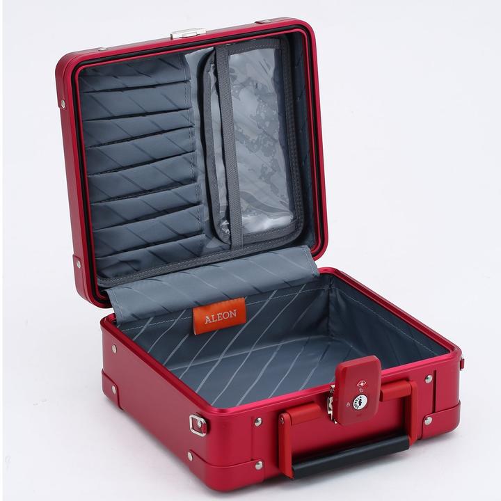 Actual product image Aleon Diversity Beauty Case 10"