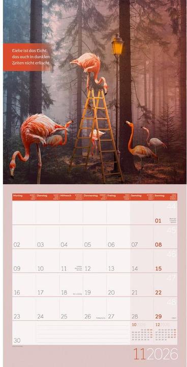 Actual product image Alles wird gut! Kalender 2026 - 30x30 (30 x 30 cm, Hardcover, French, English)