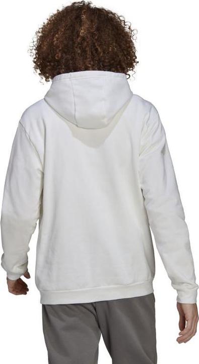 Produktbild adidas Entrada 22 Kapuzenpullover Herren (3XL)