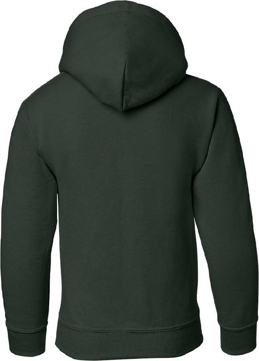 Actual product image Gildan Sweatshirt With Hood (L)