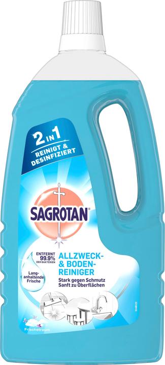 Actual product image Sagrotan 2 in 1