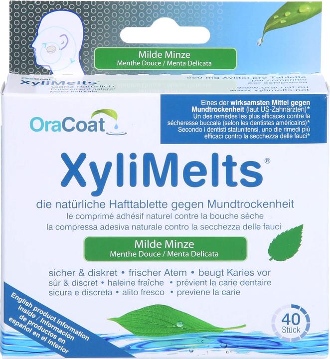 Actual product image Xylimelts Hafttabletten gegen Mundtrockenheit milde Minze (40 x, 270 ml, 59 g)