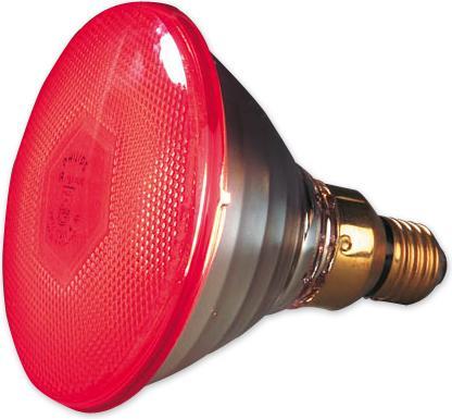 Produktbild Philips Infrarot-Wärmelampe (175 W)