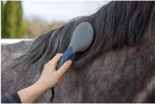 Actual product image Kerbl Oster Mane and Tail Brush