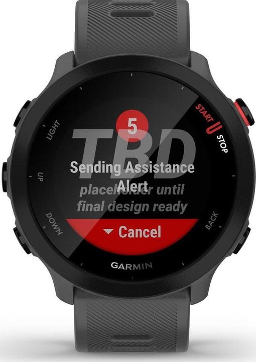 Produktbild Garmin Forerunner 55 (42 mm)