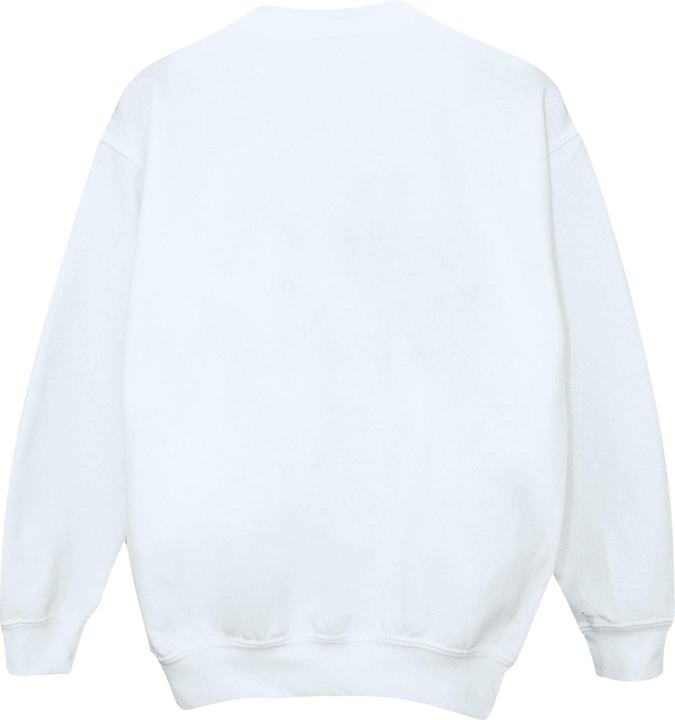 Produktbild Looney Tunes Daffy Duck Colour Code Sweatshirt (4XL)