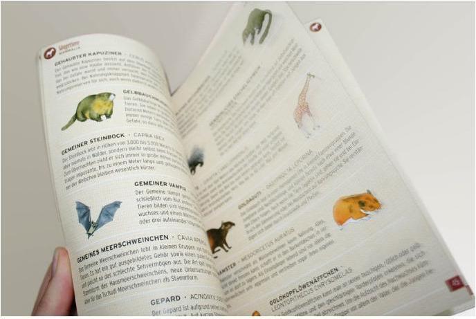 Actual product image Fauna (German)