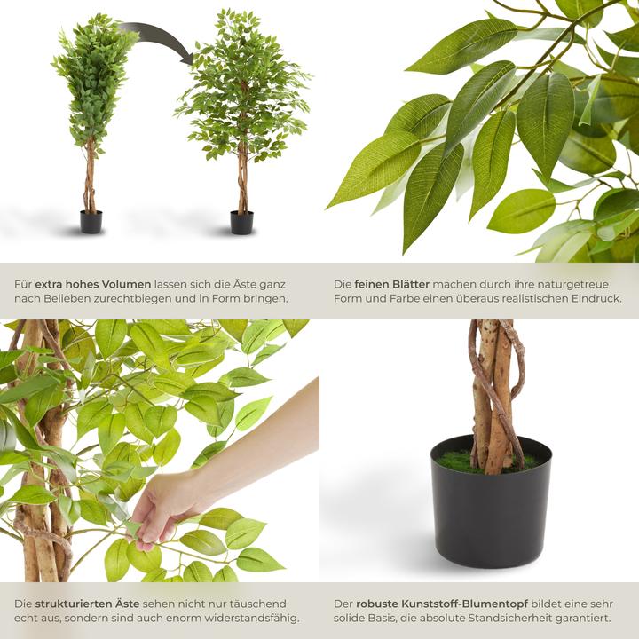 Image du produit tectake Ficus Fida (160 cm)