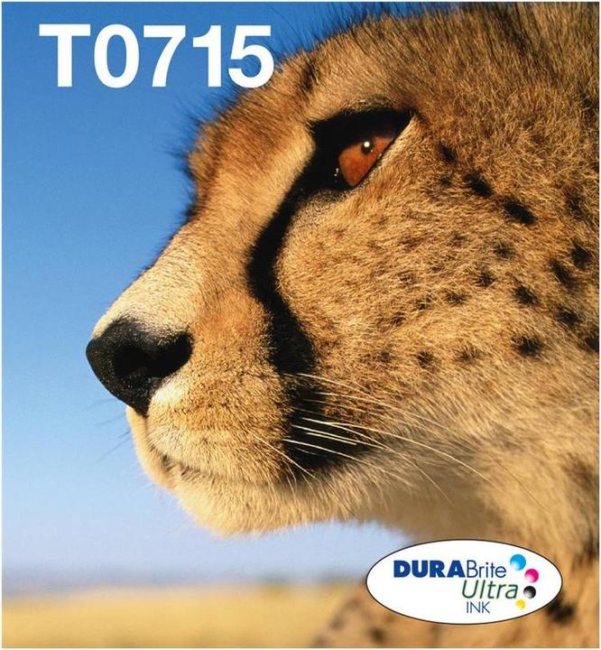 Image du produit Epson T071 EasyMail (M, C, Y, CF)