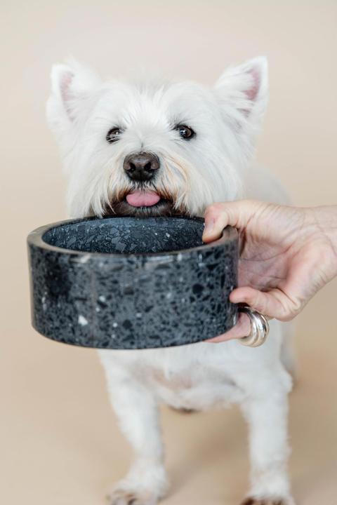 Produktbild Kentucky Dogwear Futternapf Terrazzo Stein