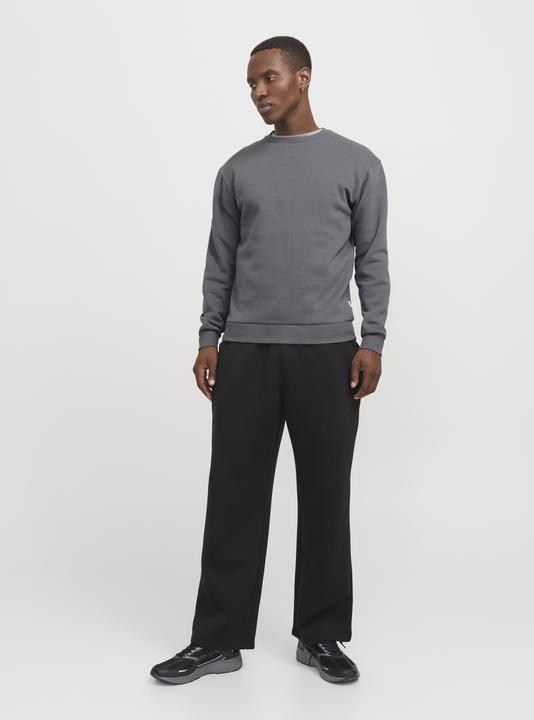 Actual product image Jack & Jones Jjebradley Sweat Crew Noos (M)