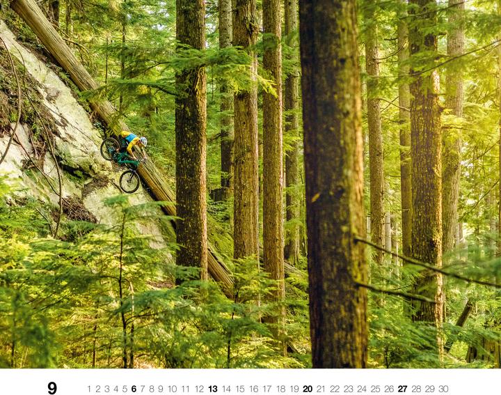 Actual product image Freeride 2026 (German)