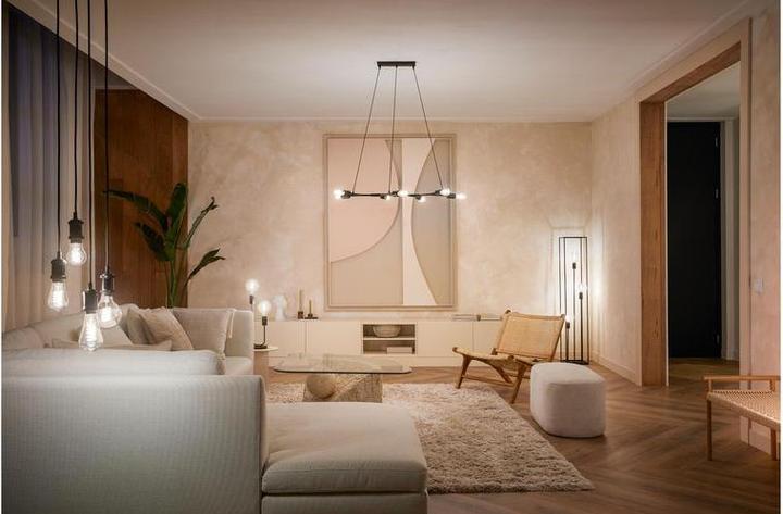 Actual product image Philips Hue Philips E27 single pack filament (E27, 7 W, 550 lm, 1 x, G)