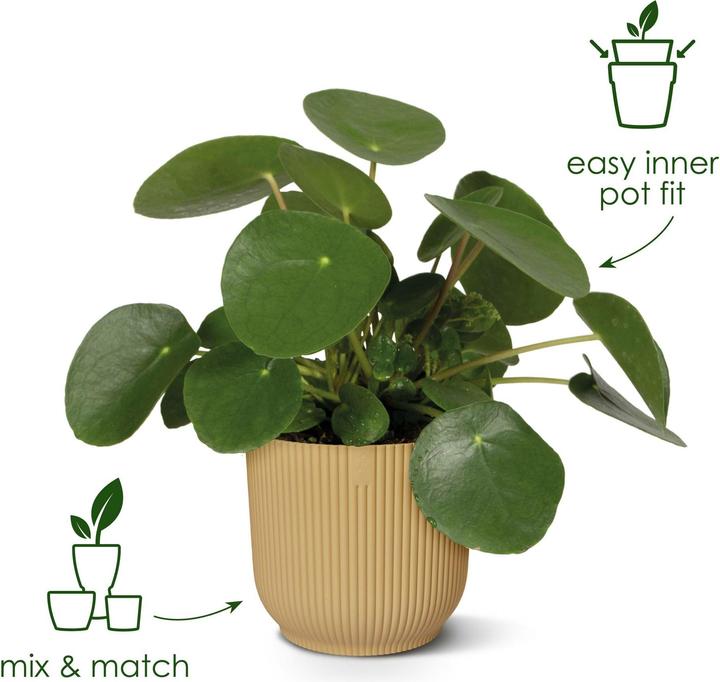 Actual product image Elho Vibes Fold (22 cm)