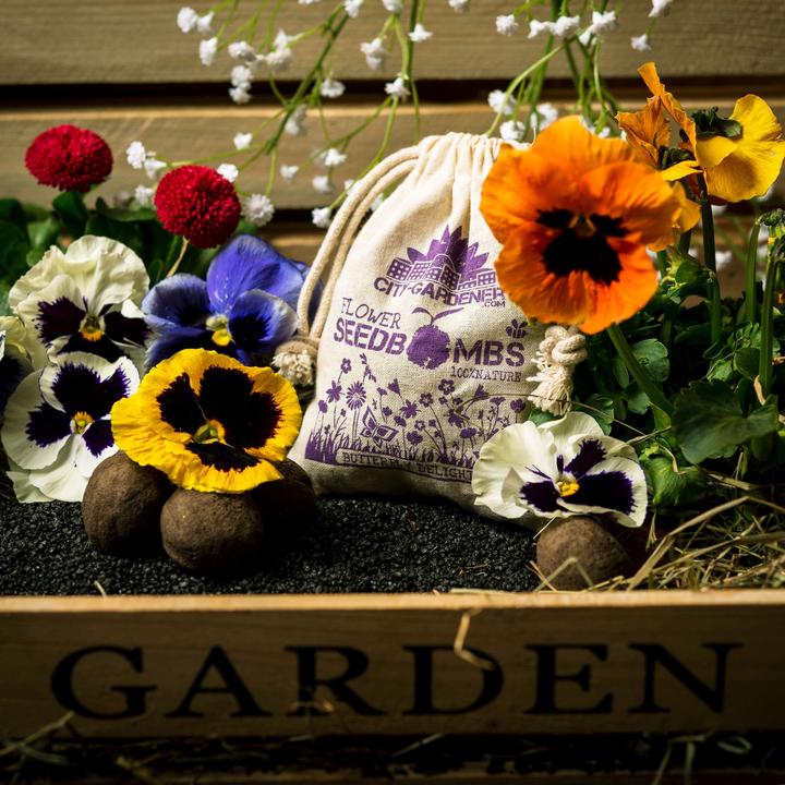 Actual product image Die Stadtgärtner Seed bombs butterfly meadow (Lawn reseed)