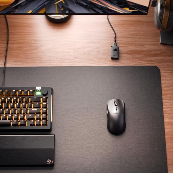 Actual product image Glorious Series 2 PRO Wireless Gaming Maus - schwarz (Cable, Wireless)