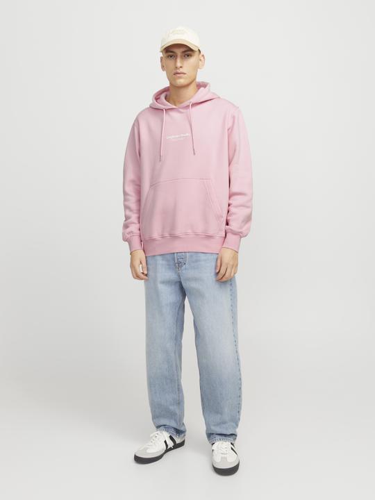 Image du produit Jack & Jones Jorvesterbro Sweat Hood Noos (XXL)