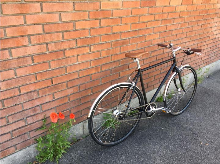 Actual product image Fam. Huber Robin (60.50 cm)