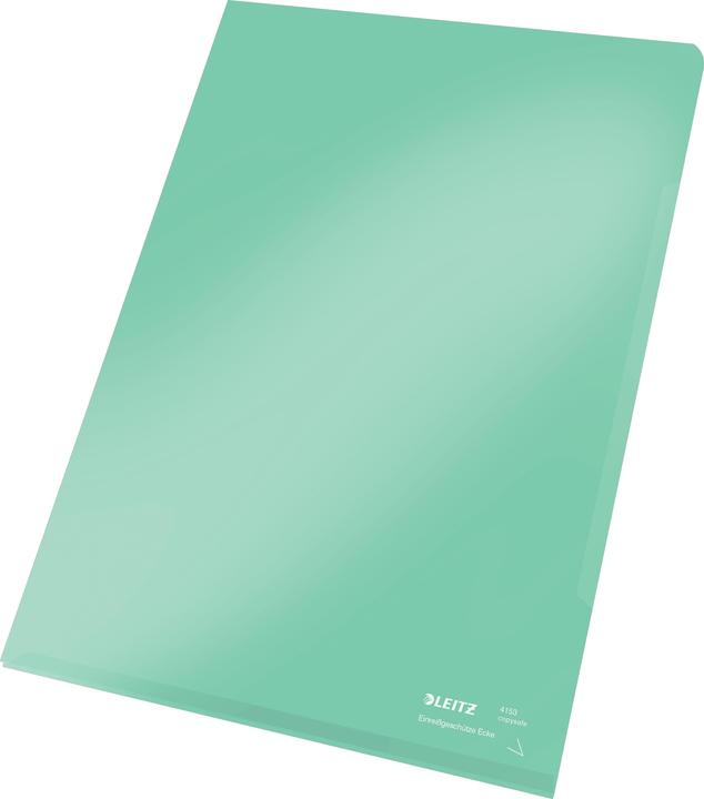 Actual product image Leitz Premium A4 Viewing Pouch (A4, 100 x)