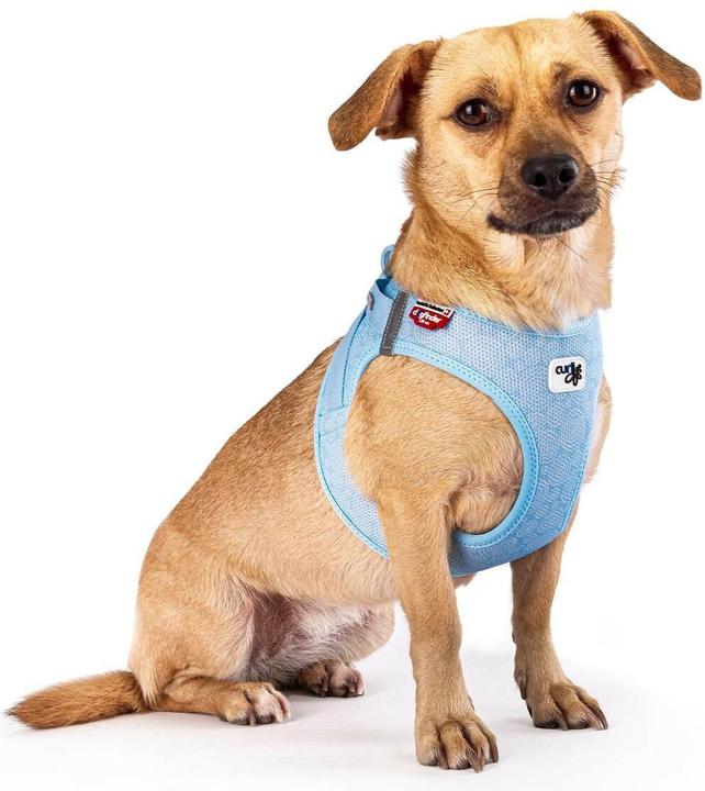 Produktbild Curli Geschirr Vest Air-Mesh XL SE24, Airblue (XL, Hund, Spazieren)