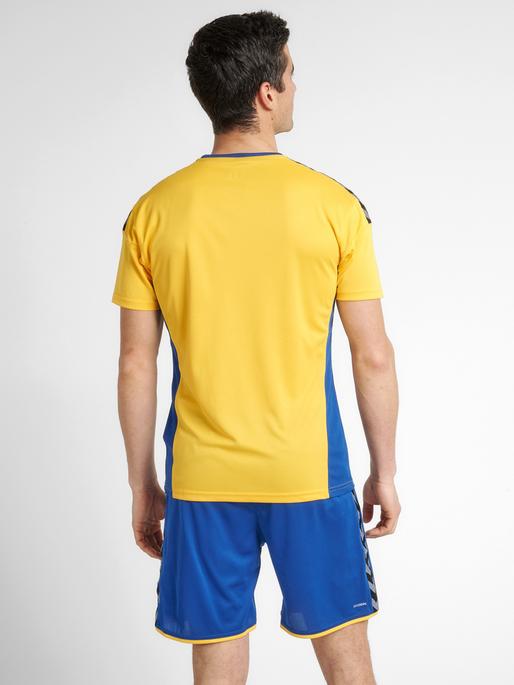 Actual product image hummel Authentic Poly Jersey S/S (M)