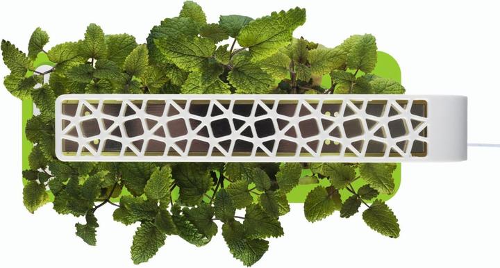 Produktbild Click and Grow Smart Herb Garden (12 cm)