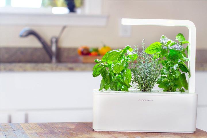 Produktbild Click and Grow Smart Herb Garden (12 cm)