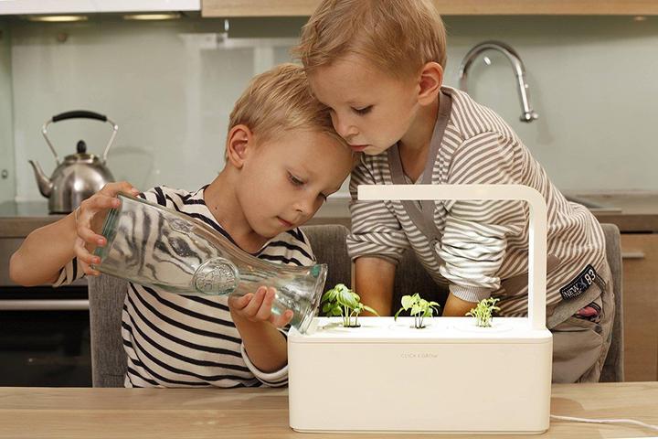 Produktbild Click and Grow Smart Herb Garden (12 cm)