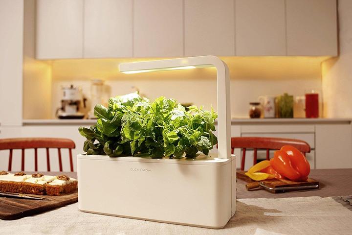 Produktbild Click and Grow Smart Herb Garden (12 cm)