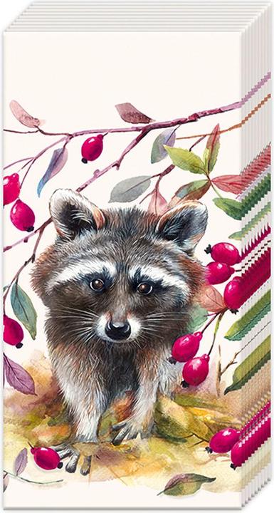 IHR Papiertaschentücher "Waschbär"