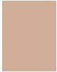 Actual product image L'Oréal Paris true match (N3 Creamy Beige)