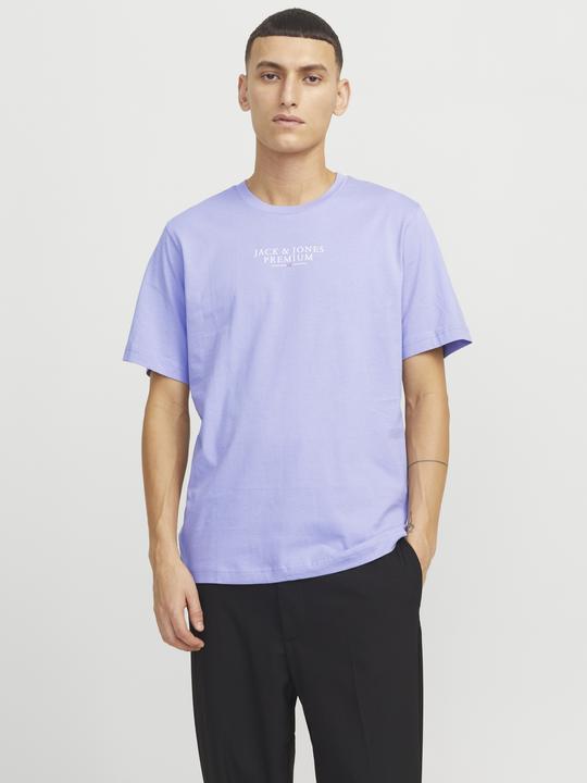 Actual product image Jack & Jones Jprbluarchie Ss Tee Crew Neck Noos (M)