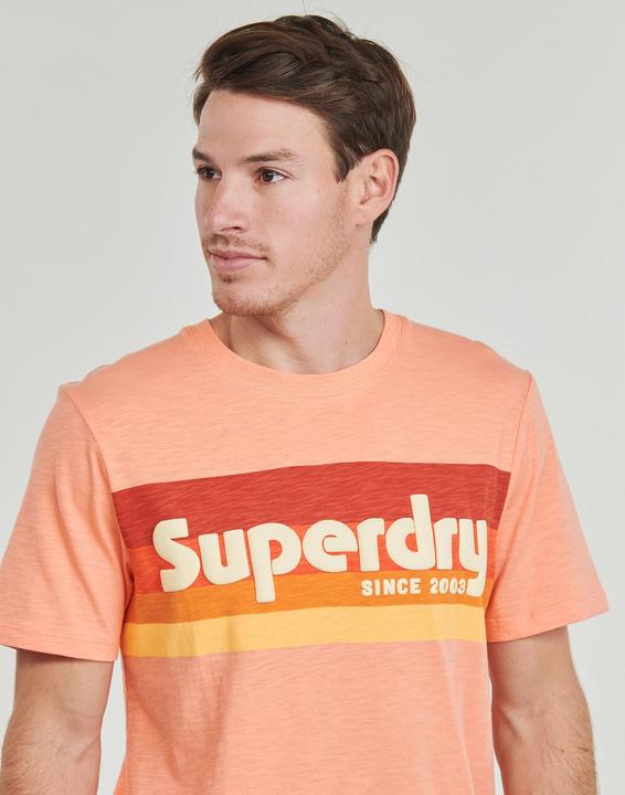 Actual product image Superdry Terrain Logo Stripe Relxed Tee (M)