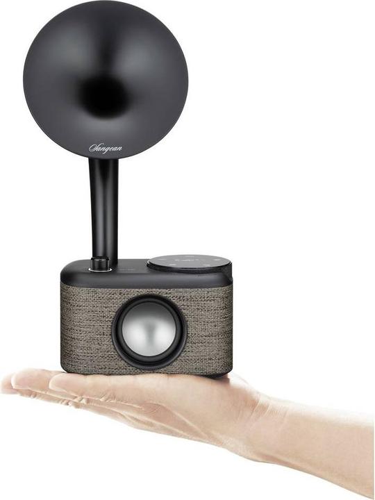 Image du produit Sangean CP 100D (DAB+ DAB, FM, Bluetooth)