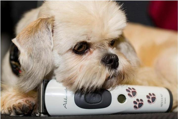 Produktbild Kerbl Akkurata (Hund)