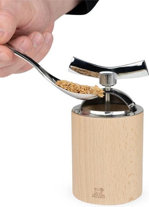 Actual product image Peugeot Isen (Various spices)