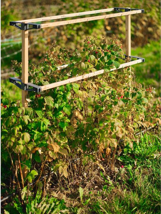 Productafbeelding Gusta Garden BERRY BUDDY modulaire bruine bessenhouder (93 cm, 11.90 cm)