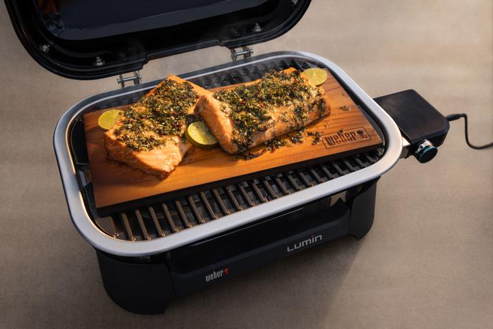 Immagine prodotto Weber Compatto Lumin (2.20 kW)