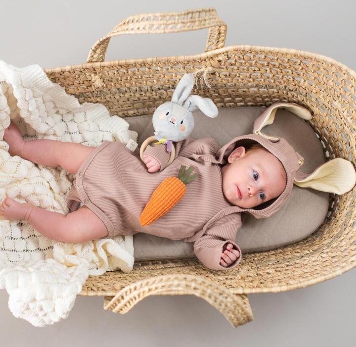 Produktbild Taf Toys Hase Rylee