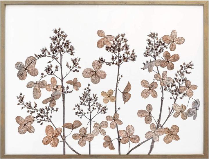Produktbild Trenddeko Getrocknete Blumen (50 x 40 cm)