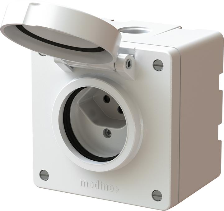 Max Hauri 1x type 13 modino exo