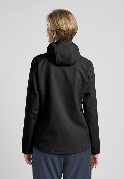 Image du produit Jack Wolfskin Bornberg Hoody W (3XL)