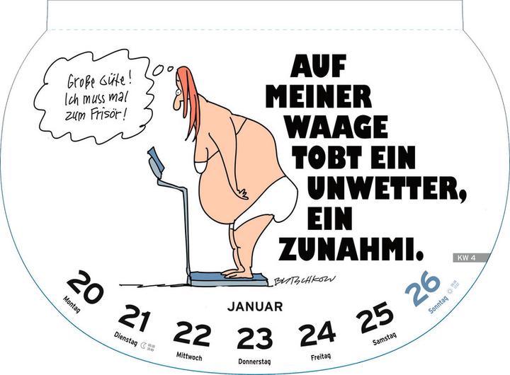 Actual product image Heye Picture Calendar Silly Sayings (21 x 29 cm, Hardcover, German)